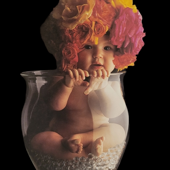 Anne Geddes "Down in the Garden" Big Coffee Table Book - Picture 10 of 16